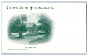 Salem Massachusetts Postcard Willows Historic Olde Witch City Exterior View 1905