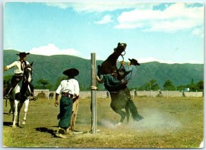 M-24201 Doma de Potros Folklore Argentino Argentina