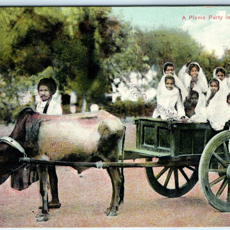 1910s India Picnic Party Indian Girls Cart Ox Methodist Missionary Postcard A166