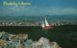 Vintage Berkeley Marina, Berkeley, Calif. Postcard P133