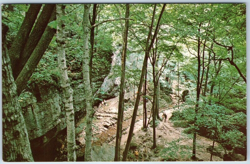 c1970s Maquoketa, IA Caves State Park Hiking Trail Nature Scene Chrome PC A236