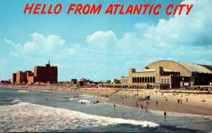 New Jersey Atlantic City Hello Showing Convention Hall and Hotels Along Beach...