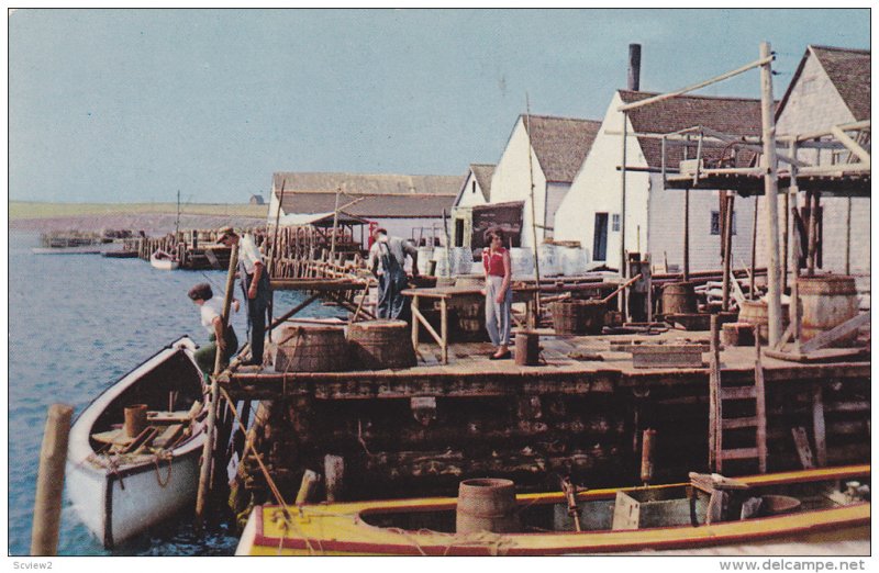 Rustico , Prince Edward Island , Canada , 50-60s