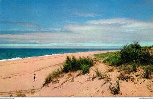 Massachusetts Cape Cod View Of Ocean and Sand Dunes