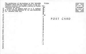 Bluefield West Virginia1950s Postcard Big Walker Lookout