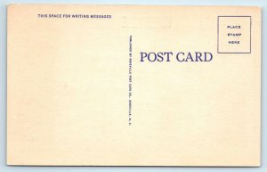 2 Large Letter Linens GREENVILLE, South Carolina SC ~ 1940s Asheville Postcards
