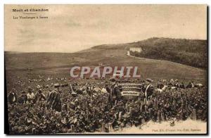 Old Postcard Folklore Wine Vineyard Harvest Champagne Moet & Chandon The harv...