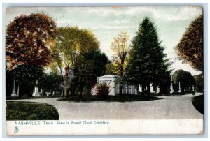 Nashville Tennessee TN Postcard View In Mount Olivet Cemetery 1909 Tuck Antique