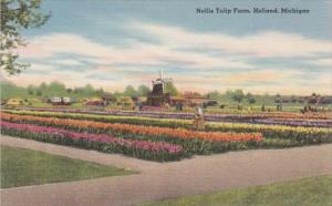 Michigan Holland Nelis Tulip Farm