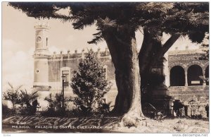 RP: CUERNAVACA , Mor. , Mexico , 30-40s ; Palacio de Cortes , giant tree