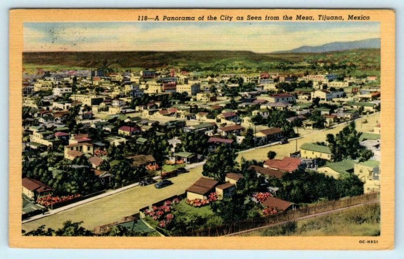 TIJUANA, MEXICO ~ Birdseye of CITY from Mesa 1954 Linen Postcard