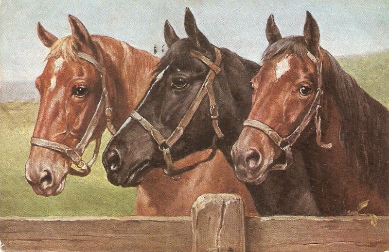 C. Reichert. Three Horses Tuck Oilette Bit and Bridle  Ser PC # 3174