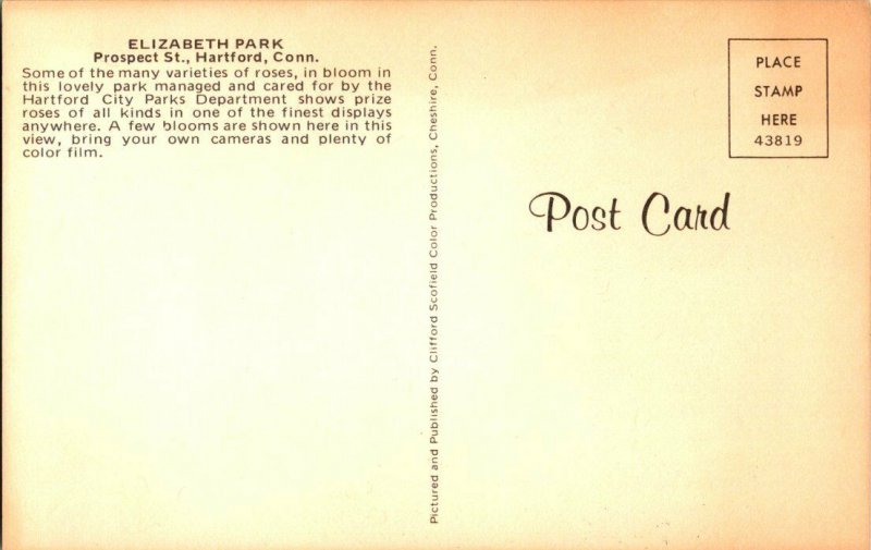 Elizabeth Park Prospect St. Hartford Conn. Vintage Postcard Standard View Card