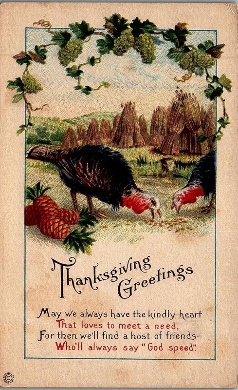 c1915 THANKSGIVING GREETINGS TURKEYS PINEAPPLE WHEAT GRAPES POSTCARD 34-77