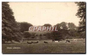 UK Postcard Old Wrexham Erddig
