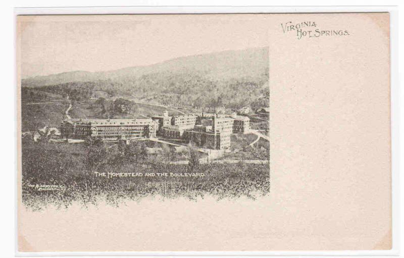 Homestead Virginia Hot Springs 1905c Albertype postcard