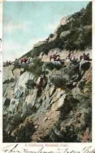 1906 California Mountain Trail Cliff Adventure Horseback Riding Vintage Postcard