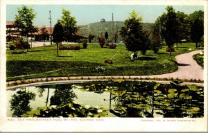 Vtg 1905 Lily Pond Mountain Park Mt Tom Holyoke Massachusetts MA Postcard