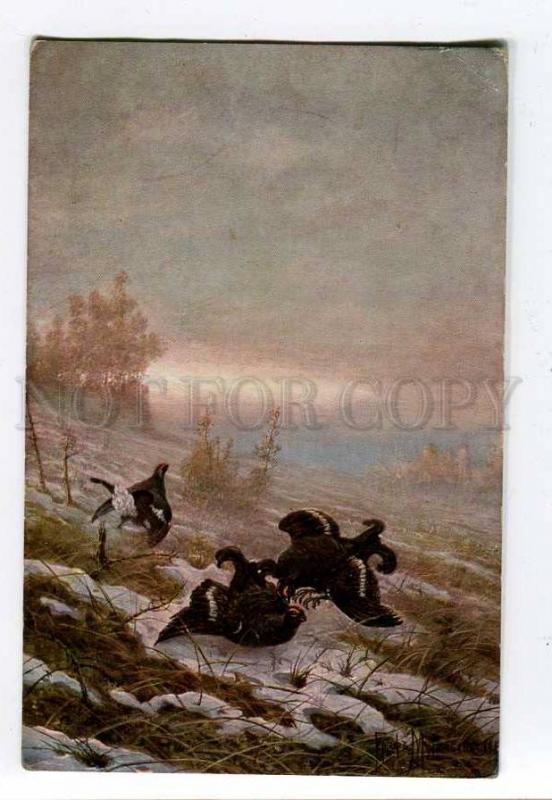 261161 Russia MURAVIEV Duel black grouse HUNT Vintage Richard