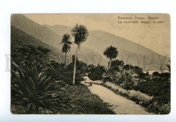 137942 Caucasus Abkhazia GAGRA Park Gagry Vintage postcard