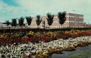 North Dakota Fargo Home Economics Floral Displays North Dakota State Universi...