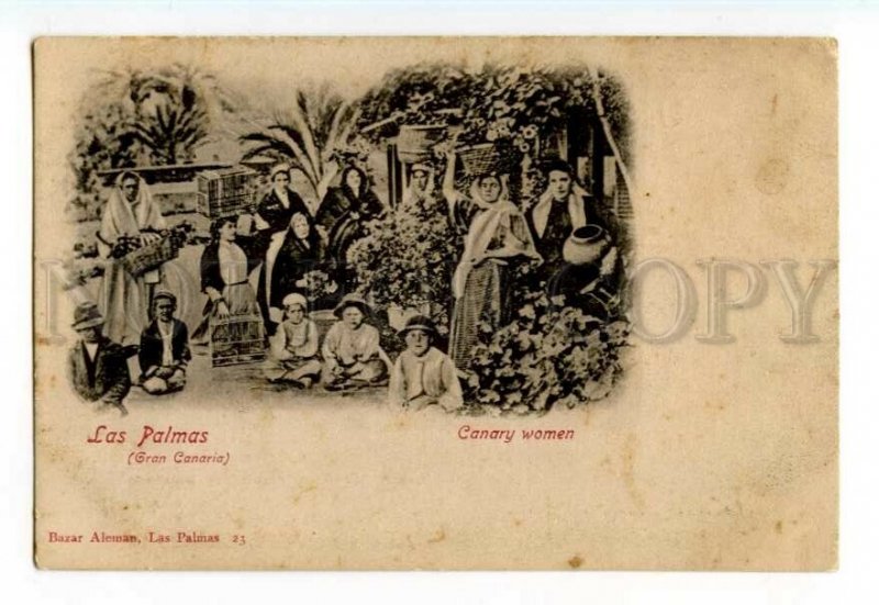 492153 Spain Canary islands Las Palmas group women and children Vintage postcard