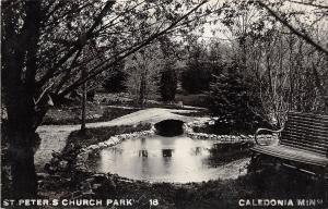 D79/ Caledonia Minnesota Real Photo RPPC Postcard 1908 St Peter's Church Park 3