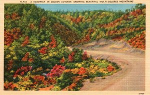 Roadway in Autumn,Showing Multi-Colored Mountains