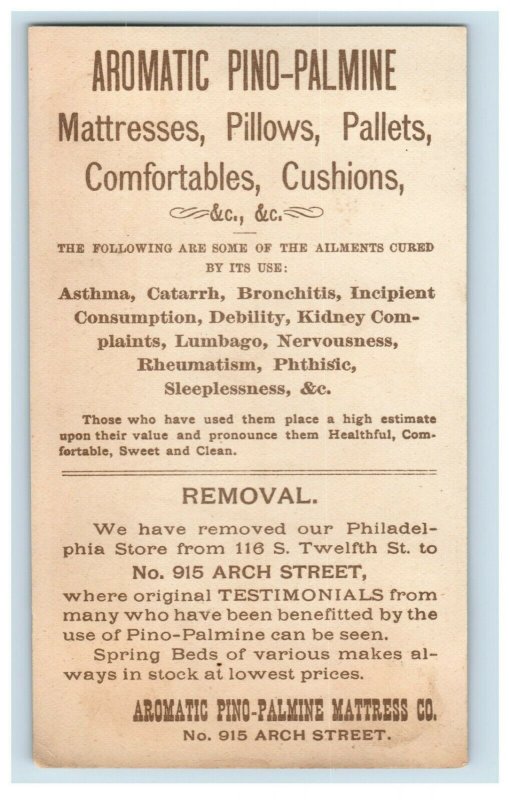 1870's Aromatic Pino-Palmine Mattresses Pillows Pallets Quack Cure P167