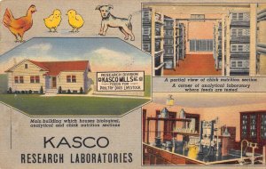 Indiana Pennsylvania Kasco Laboratories Animal Feed Research Postcard AA64692