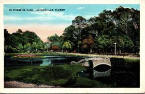 Florida Jacksonville Scene In Riverside Park