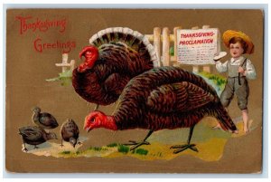 1911 Thanksgiving Greeting Turkey And Chicks Boy Embossed Fonda NY Postcard 