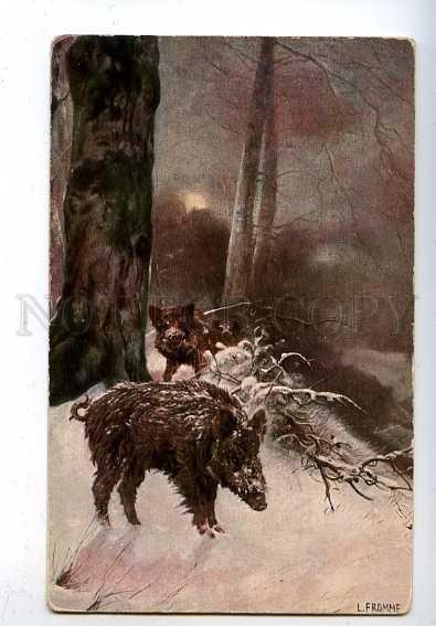 182916 Wild boar by Fromme in winter Vintage postcard