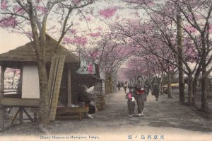 c.'07 Early Japanese Art , Cherry Blossom at Mukojima, Tokyo,Old Postcard