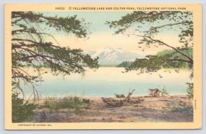 State View~Yellowstone Natl Park WY~Yellowstone Lake~Colter Peak~Vtg Linen PC