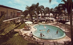 Quality Courts Motel - St. Petersburg, Florida - Vintage Postcard