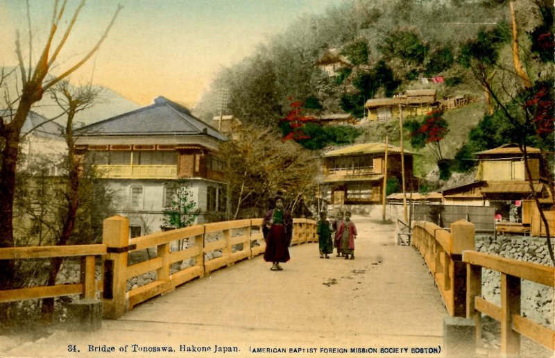 Japan - Hakone. Bridge of Tonosawa