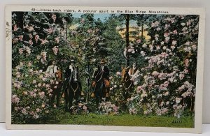 Blue Ridge Mountains Horse-back Riders Staunton to Swoop Va Postcard D12