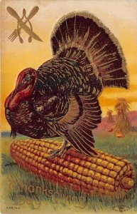 THANKSGIVING DAY 1909 Embossed Postcard Turkey on Giant Exaggerated Corn