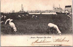 Belgium Anvers Paysage á Ste Anne Antwerp Vintage Postcard 04.35