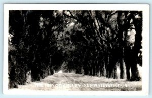 RPPC  ST. MARTINVILLE, Louisiana LA ~ PINE and OAK ALLEY Street Scene  Postcard