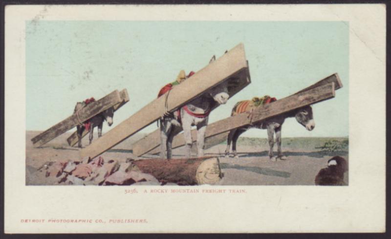 Rocky Mountain Freight Train,Donkeys Postcard