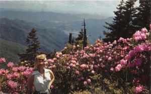 Mount Mitchell State Park North Carolina~Lady Posing by Rhododendron Bushes~'50s