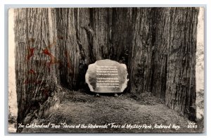 RPPC Cathedral Tree Shrine of the Redwoods Redwood Highway CA Postcard W16