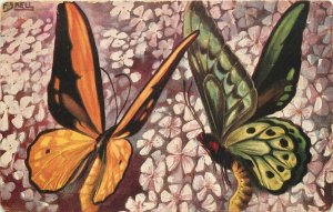 1909 Beautiful Butterfly Art Rotograph Artist Signed Kell Postcard