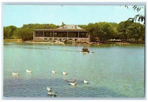 c1950's Lake Como & Pavilion Boating Ducks Building St. Paul Minnesota Postcard