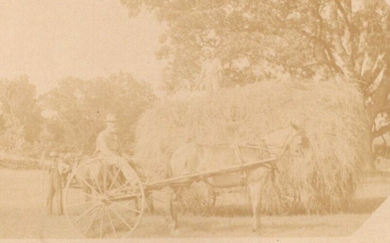 RPPC Farmers Haying Field  Sepia Toned   - Real Photo Postcard  c1910