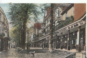 Kent Postcard - The Pantiles - Tunbridge Wells - Ref TZ4457