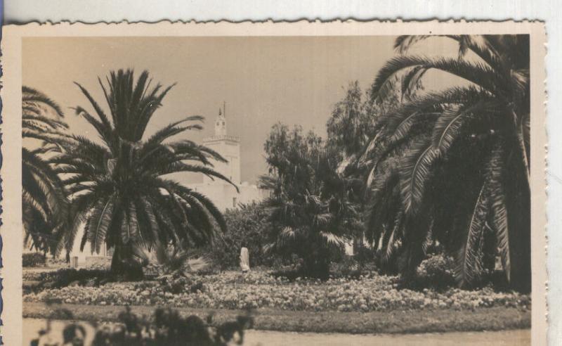 Postal  B/N 0170 : Mazagan: Square Gallieni et Mosquee, Editions La Cigogne-C...