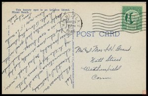 Crimson Bougainvillea Vine in Florida, Miami, Fla